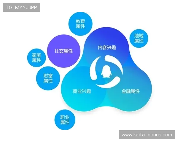K8电子评级在行业中的地位与作用，帮助开发者理解评级体系的重要性